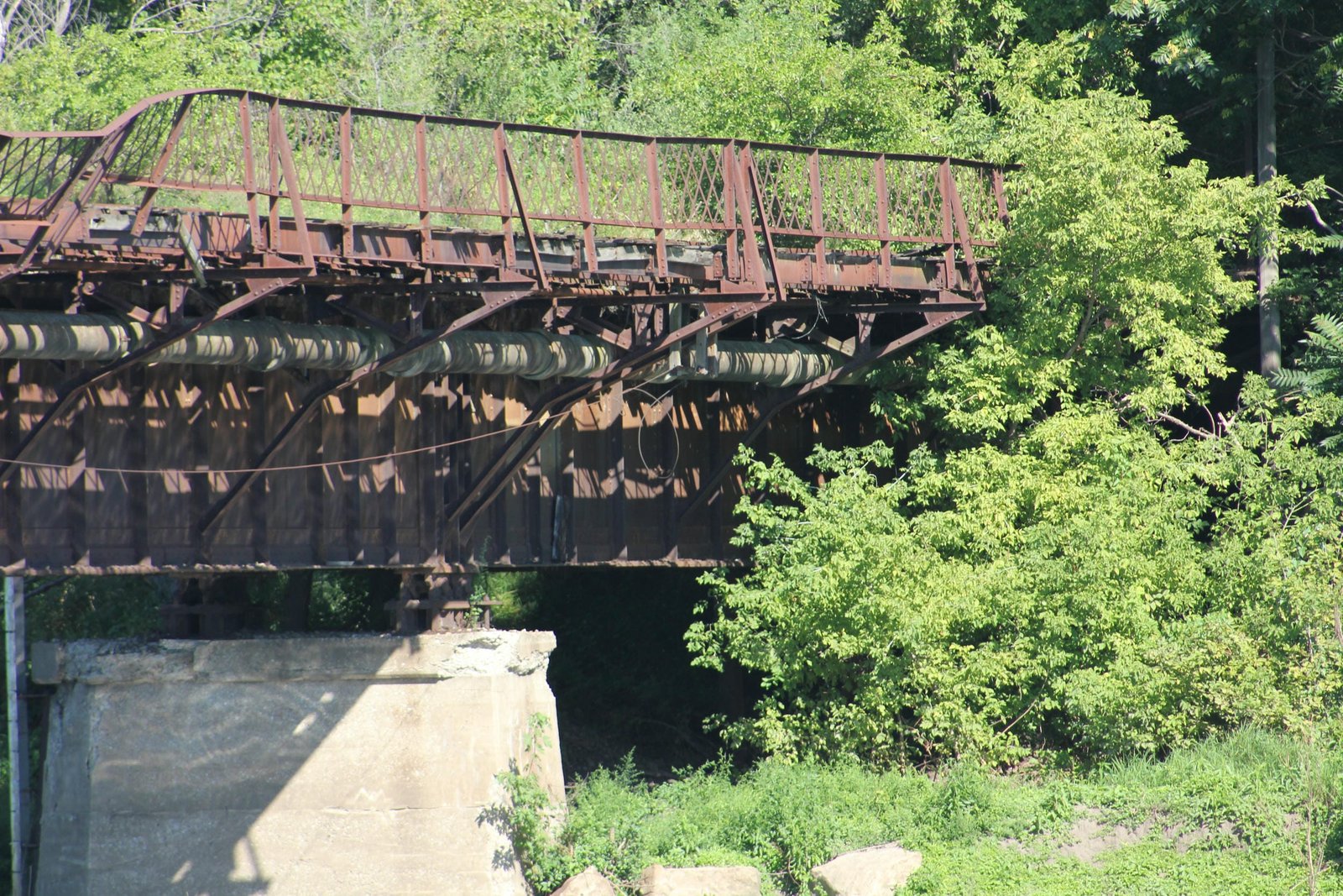 North span (span #7)